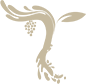 7vines Footer Logo