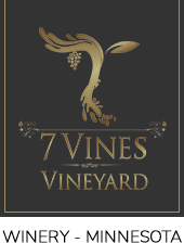 7vines Logo