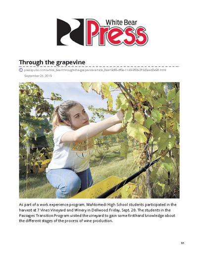 Through the grapevine
