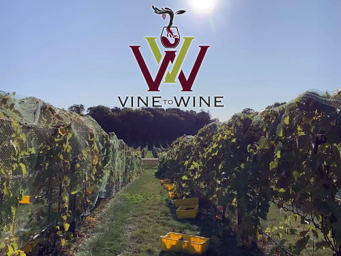 Calendar 7 Vines Vineyard Winery Minnesota