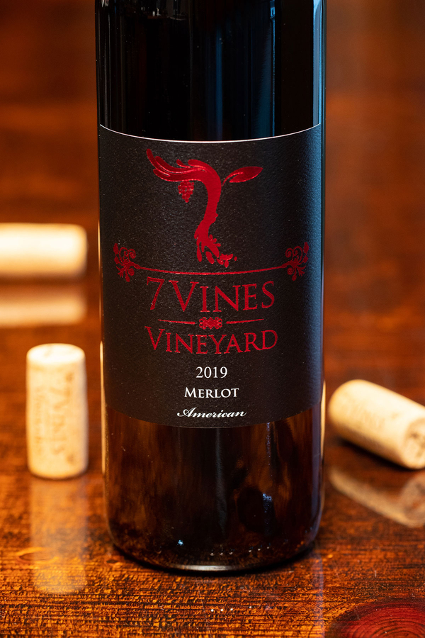 2019 Merlot bottle shot